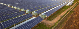 Solar Agrivoltaics